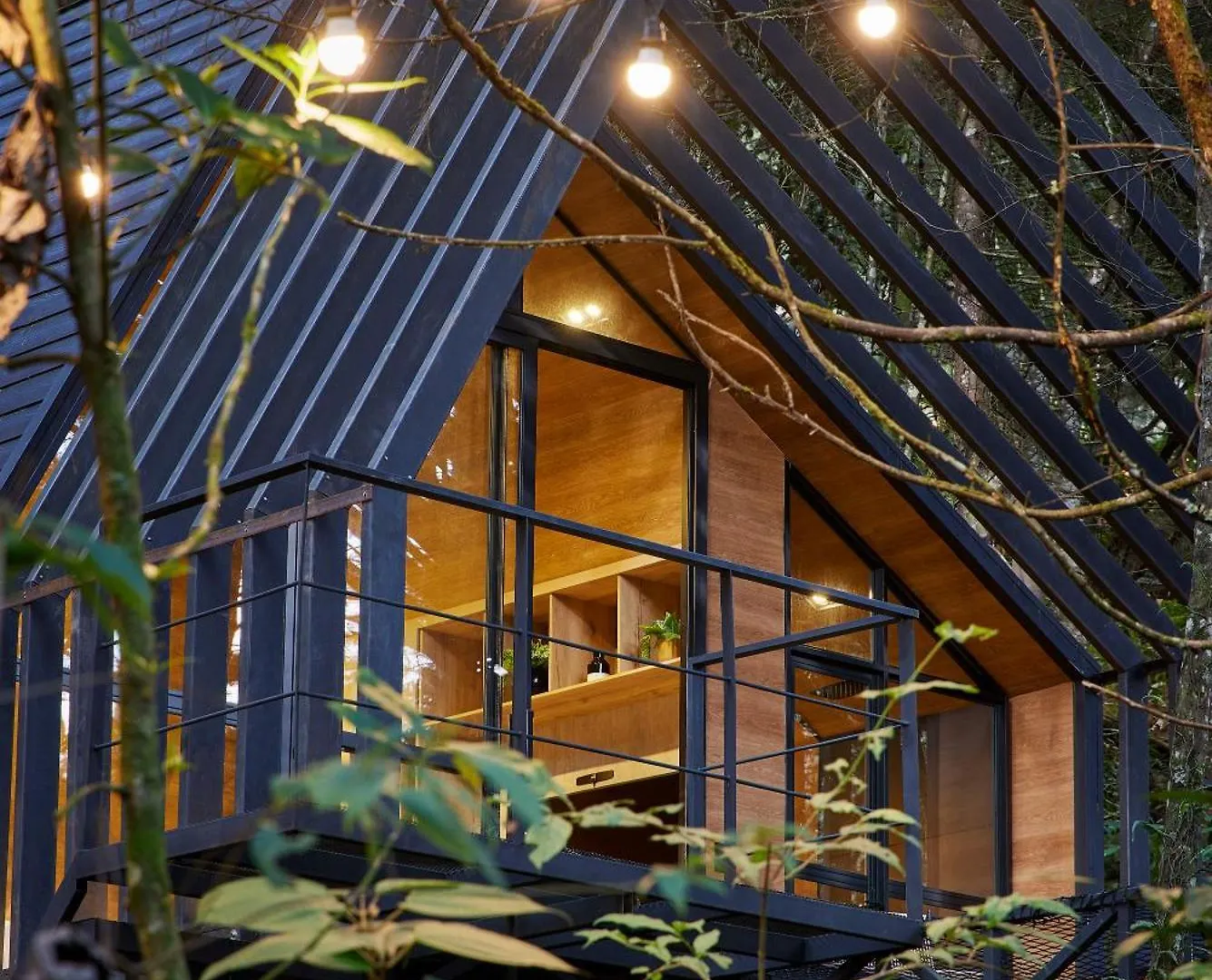 Hotel Oculto Refugio De Bosque Envigado Colombia