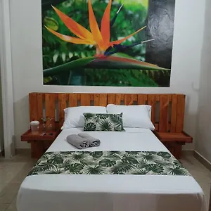 Casa-hotel Boutique El Jardín De Pensión