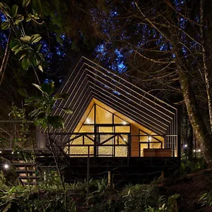 Oculto Refugio De Bosque Camping